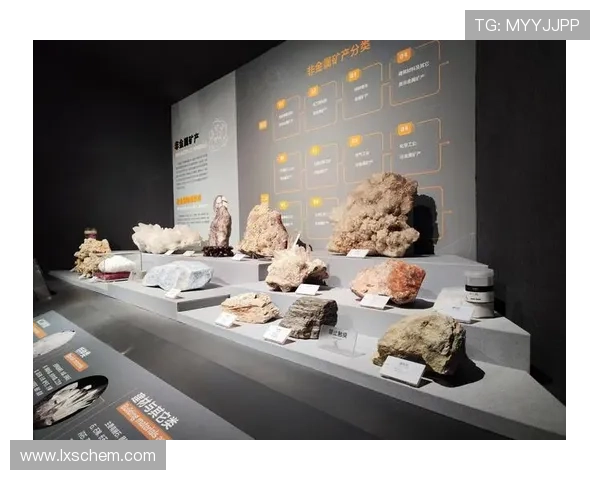 成都排球队的转型之路与未来发展趋势深度解析